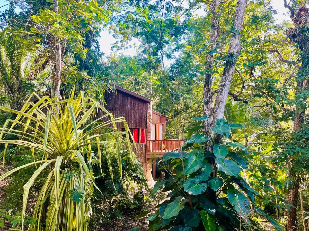 Mariposa Jungle Lodge San Ignacio Exterior foto