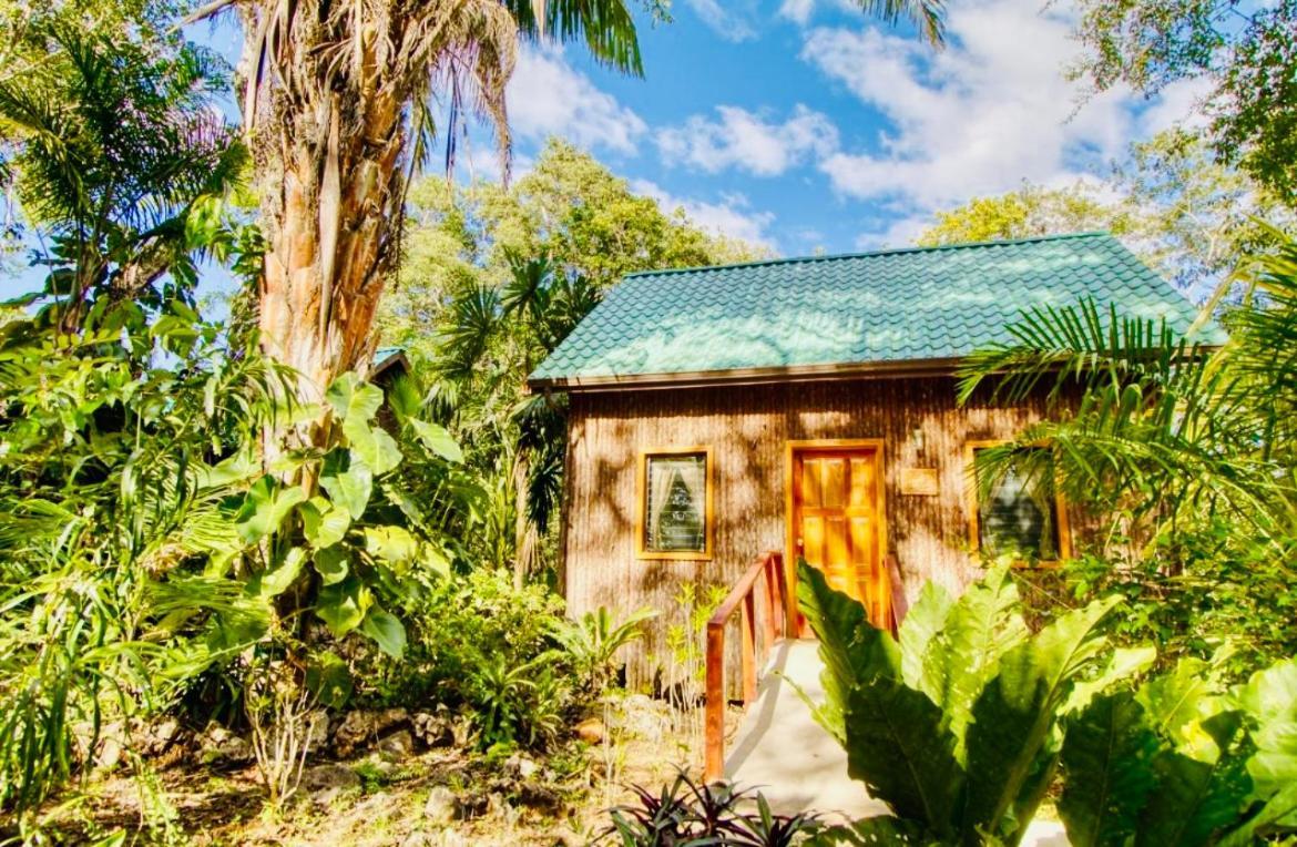 Mariposa Jungle Lodge San Ignacio Exterior foto