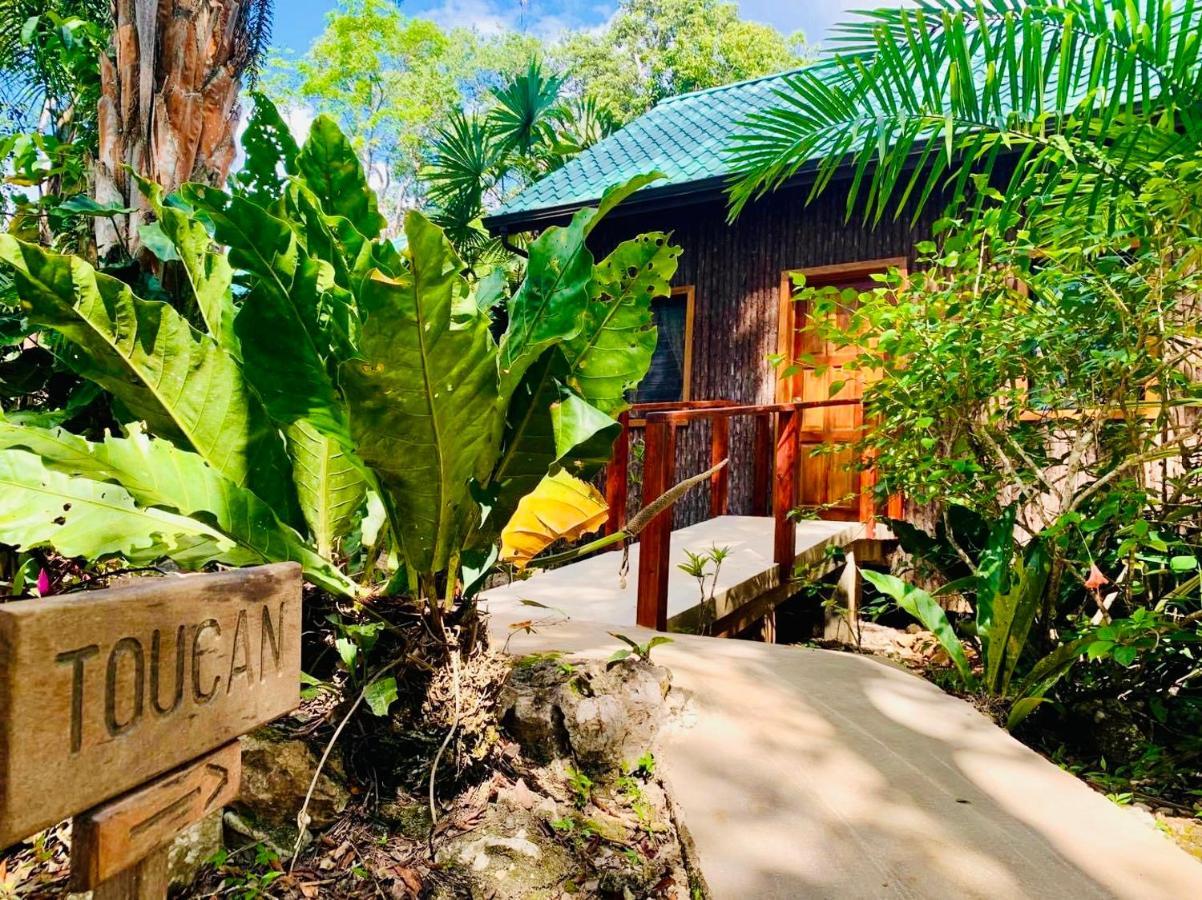 Mariposa Jungle Lodge San Ignacio Exterior foto